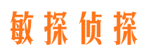 岳麓捉小三公司